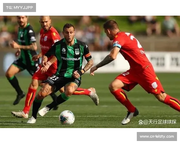 瓦拉东与罗林斯伤缺澳超，墨尔本胜利攻防体系面临重组