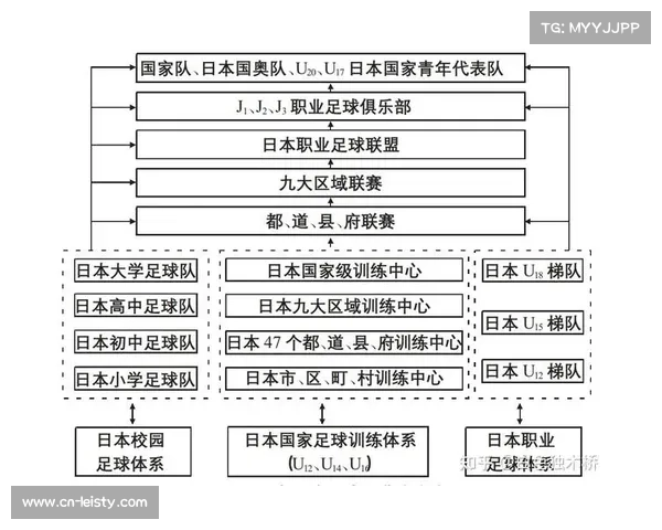 足球青训产业资金投入,职业梯队与校园足球资源对比