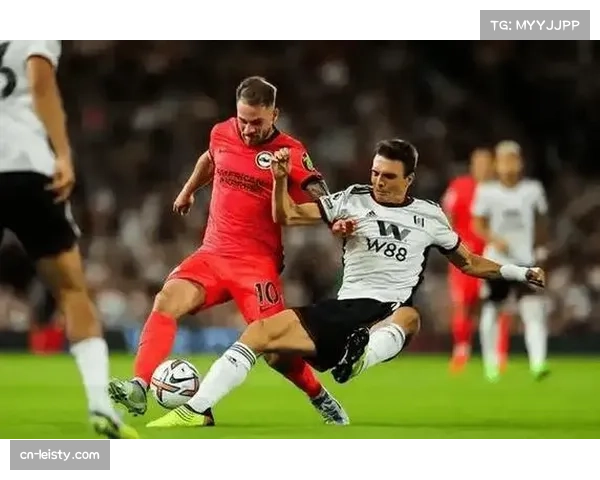 布伦特福德1-1战平埃弗顿,保级关键战中各取一分 布伦特福德1-1战平埃弗顿,保级关键战中各取一分